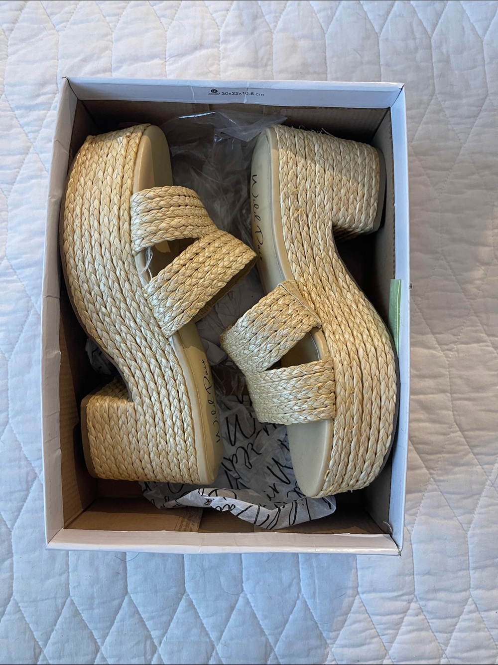 Wild Pair Beige Woven Straw Platform Sandals